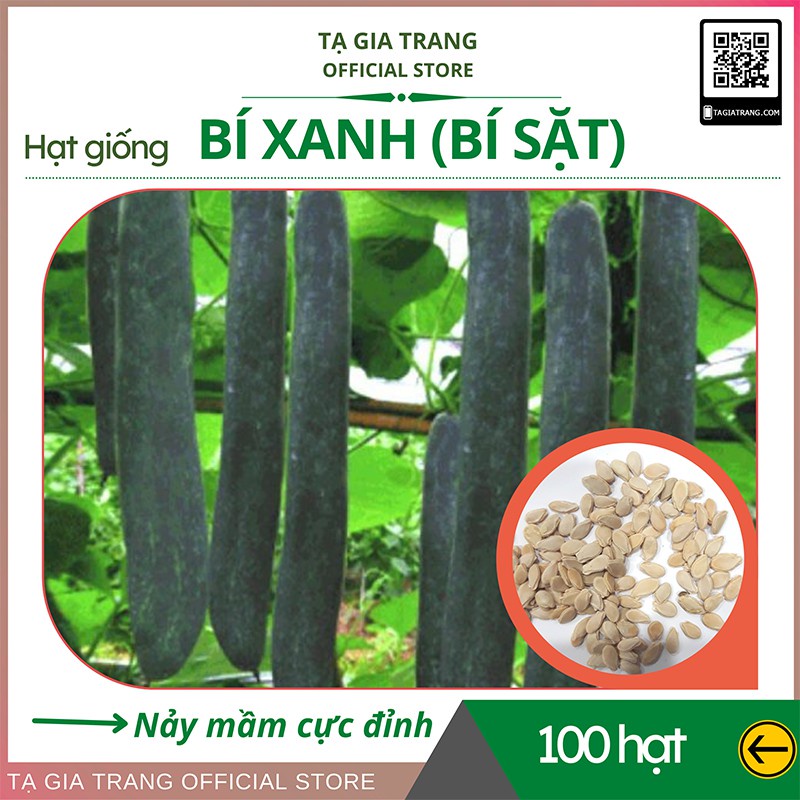 Hạt giống bí đao (bí xanh - bí sặt) cao sản - Shop hạt giống Tạ Gia Trang