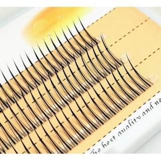 sath- Lông mi giả tự nối chùm chữ A độ dài 8-12mm No.01