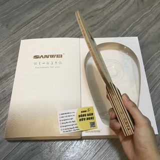 CỐT VỢT BÓNG BÀN SANWEI DEFENCE ALPHA