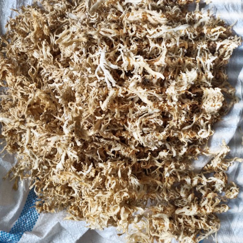 500gr rong biển  chân vịt lý sơn loại dẻo ngon không chất tẩy