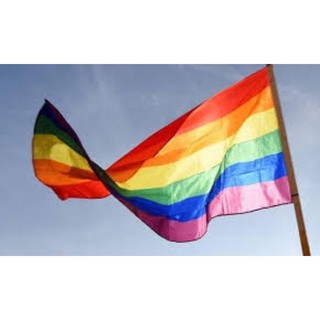1 lá cờ LGBT (may cuốn nối các màu vải)