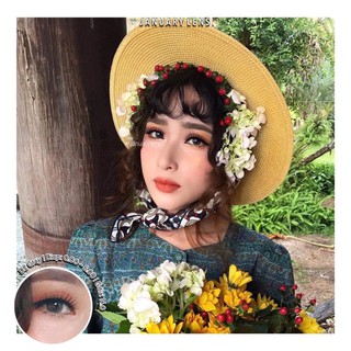 Kính áp tròng D2 (có độ cận) Dia 14.0