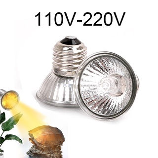 Bóng đèn sưởi ấm cho bò sát 25w 50w 75w 110v 220v