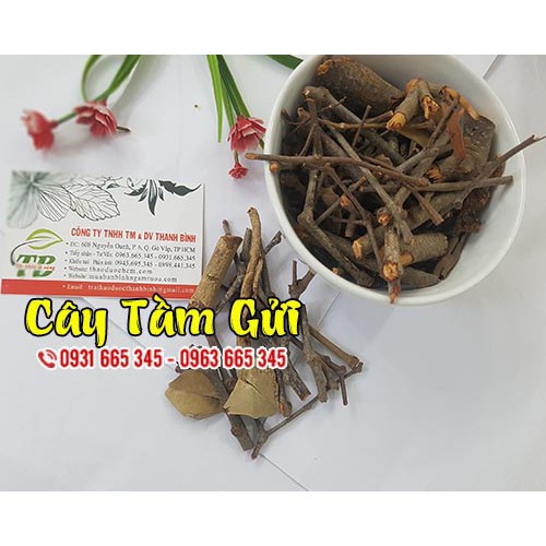 Cây Tầm Gửi Khô 100g - Loại Cao Cấp