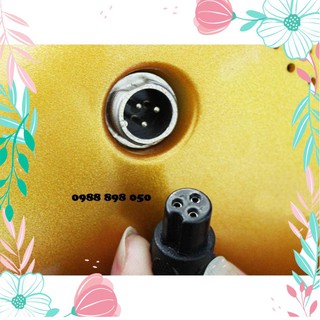 sạc xe điện cân bằng shopphukien192