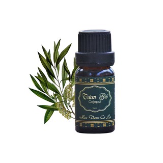 Tinh dầu Tràm Gió cho Bé - Cajeput Essential Oil - Hoa Thơm Cỏ Lạ