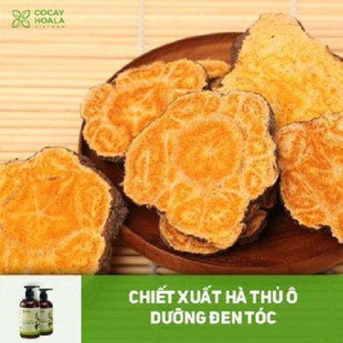 Dầu gội thảo dược Hà Thủ Ô 2in1 giảm rụng tóc, bạc tóc nuôi dưỡng mái tóc chắc khỏe  ( Bin Store 24h )