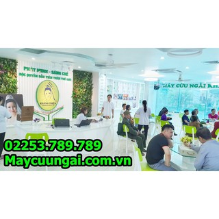 Thuốc Viên Ngải Khánh Thiện