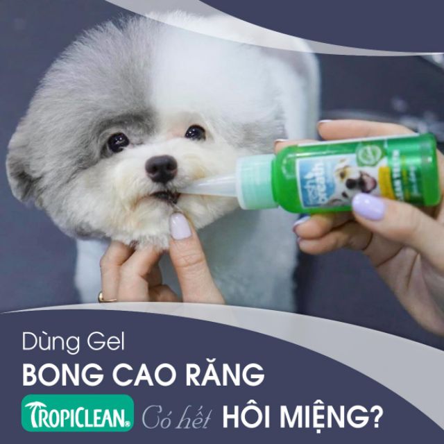 Gel vệ sinh răng miệng chó con, giảm mùi hôi, mảng bám (TropiClean, Mỹ)