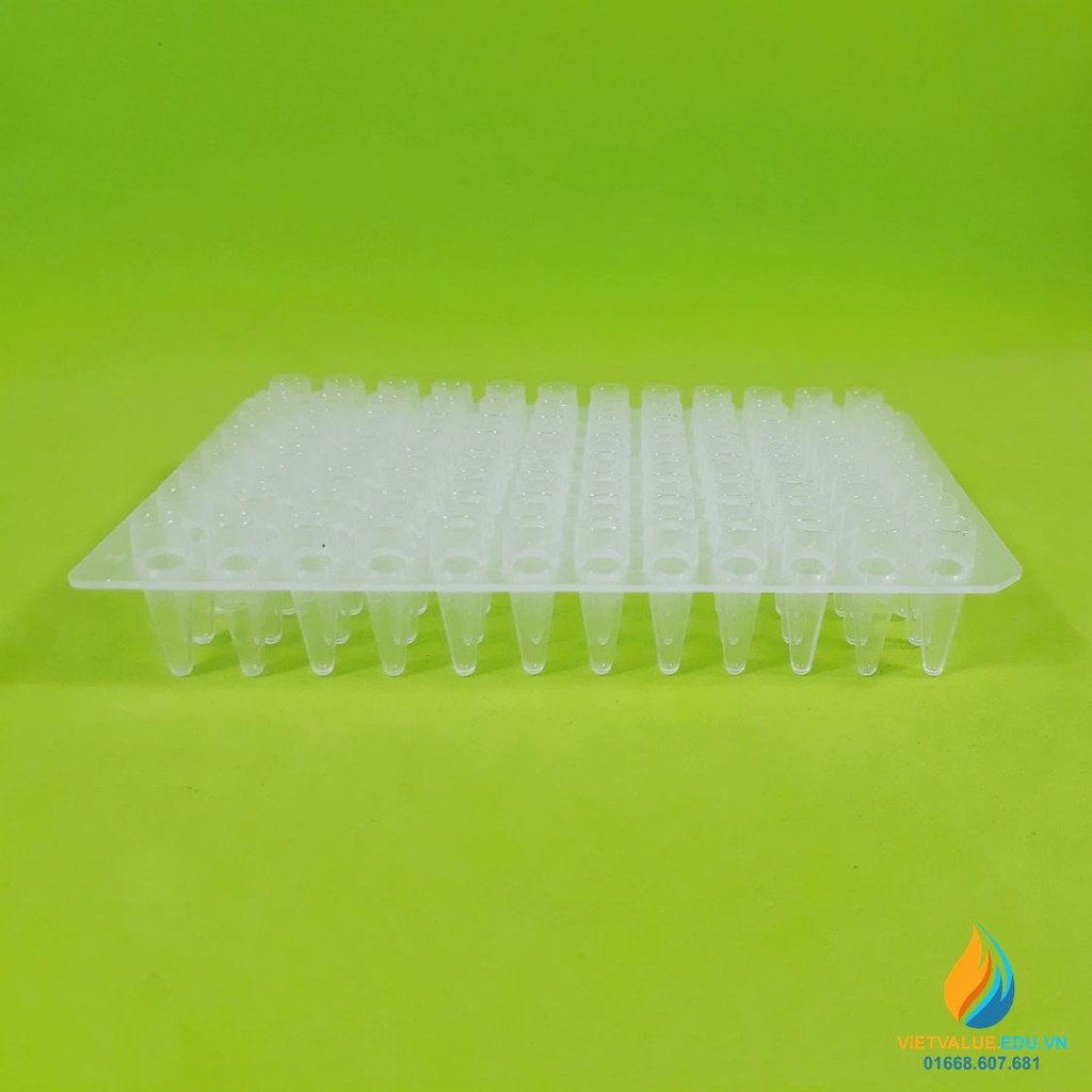 Đĩa PCR,  0,2ml, 96 lỗ, nhựa PP, đường kính lỗ 6mm.