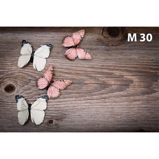 Thảm vải chụp ảnh 3D