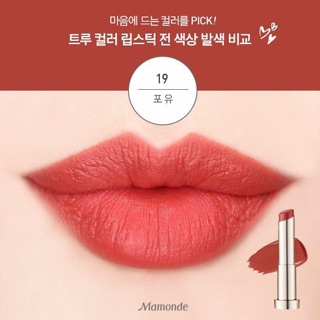 SON LÌ MAMONDE ​TRUE COLOUR LIPSTICK