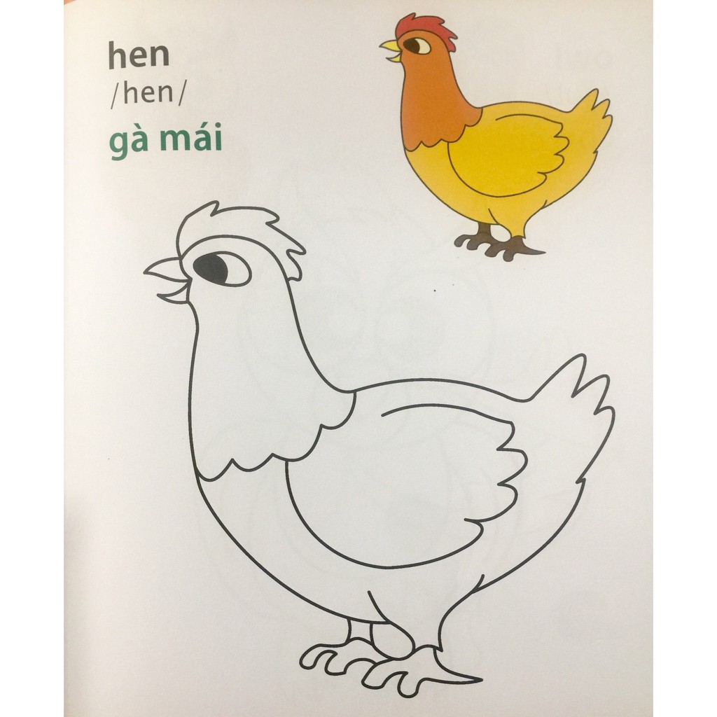 Sách - Giờ Học Tô Màu Của Bé - Các Loài Chim