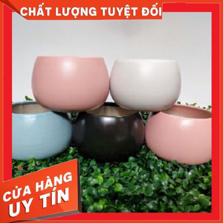 Chậu sứ tròn hình hạt dẻ ❌ FREE SHIP ❌  Xuất xứ Bát Tràng