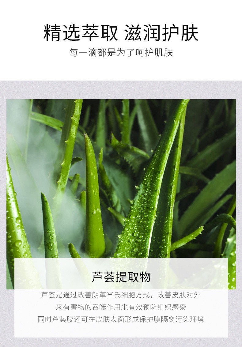  Mặt Nạ Nha Đam Dưỡng Ẩm Kiểm Soát Dầu Thu Nhỏ Lỗ Chân Lông Độc Đáo | BigBuy360 - bigbuy360.vn