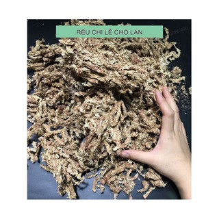 100gr Rêu Sâu Chi Lê Loại 1 (Hay Còn Gọi Là Dớn Chi Lê ) - Rêu Trồng Lan Cao Cấp