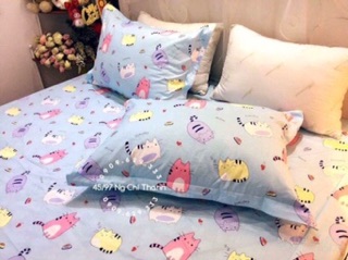 Vỏ gối cotton lụa