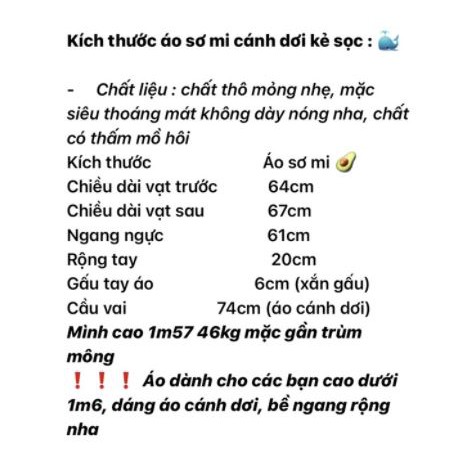 Áo sơ mi kẻ cúc lưng cổ đức chất linen - Áo sơ mi nữ basic kẻ khuy sau 3 màu | BigBuy360 - bigbuy360.vn