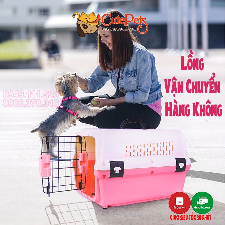 Lồng vận chuyển hàng không Size M 51x33x34cm dành cho thú cưng - Cutepets