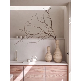 Nhánh cây khô trang trí, decor