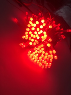 Led 5mm( 100 bóng)