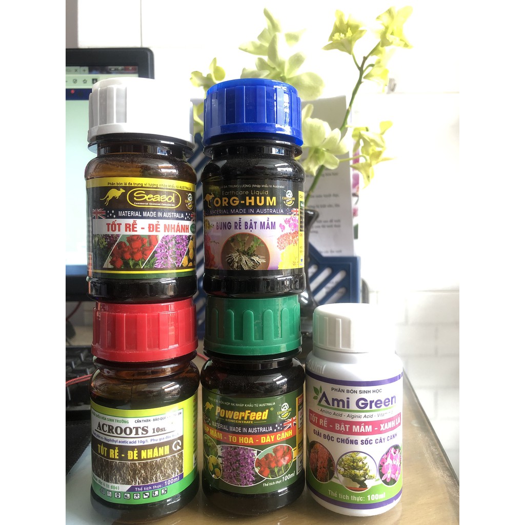 Bộ Phân Thuốc Mập Thân Mập Rễ