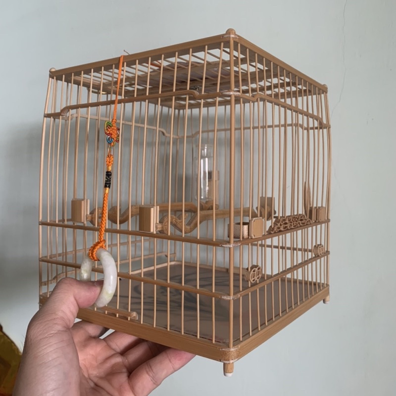 Dây Nắm lồng chim - Trung Quốc
