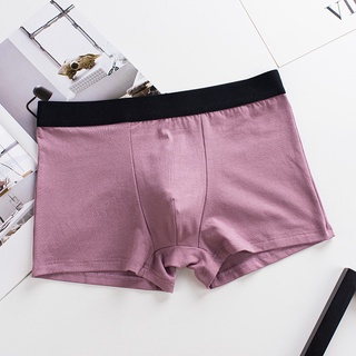 Quần lót boxer nam sịp đùi nam cotton trơn đẹp giá rẻ q005