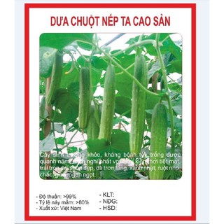 Hạt giống Dưa chuột nếp ta - 1 gói 10 hạt - tặng kèm 3 viên nén ươm hạt - DC