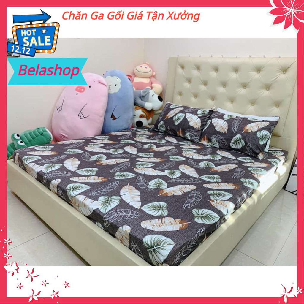 [Free ship-Xả kho cắt lỗ]Bộ ga gối cotton poly,gồm 1ga 2 vỏ gối,rẻ nhất tp hcm,chát chọn mẫu-lá khoai môn mới