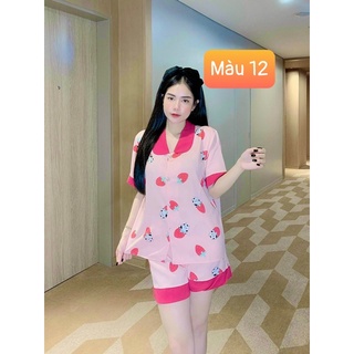 Set Bộ Lụa Mango Đùi cổ bèo sen Đồ Bộ Đồ Mặc Nhà Pijama