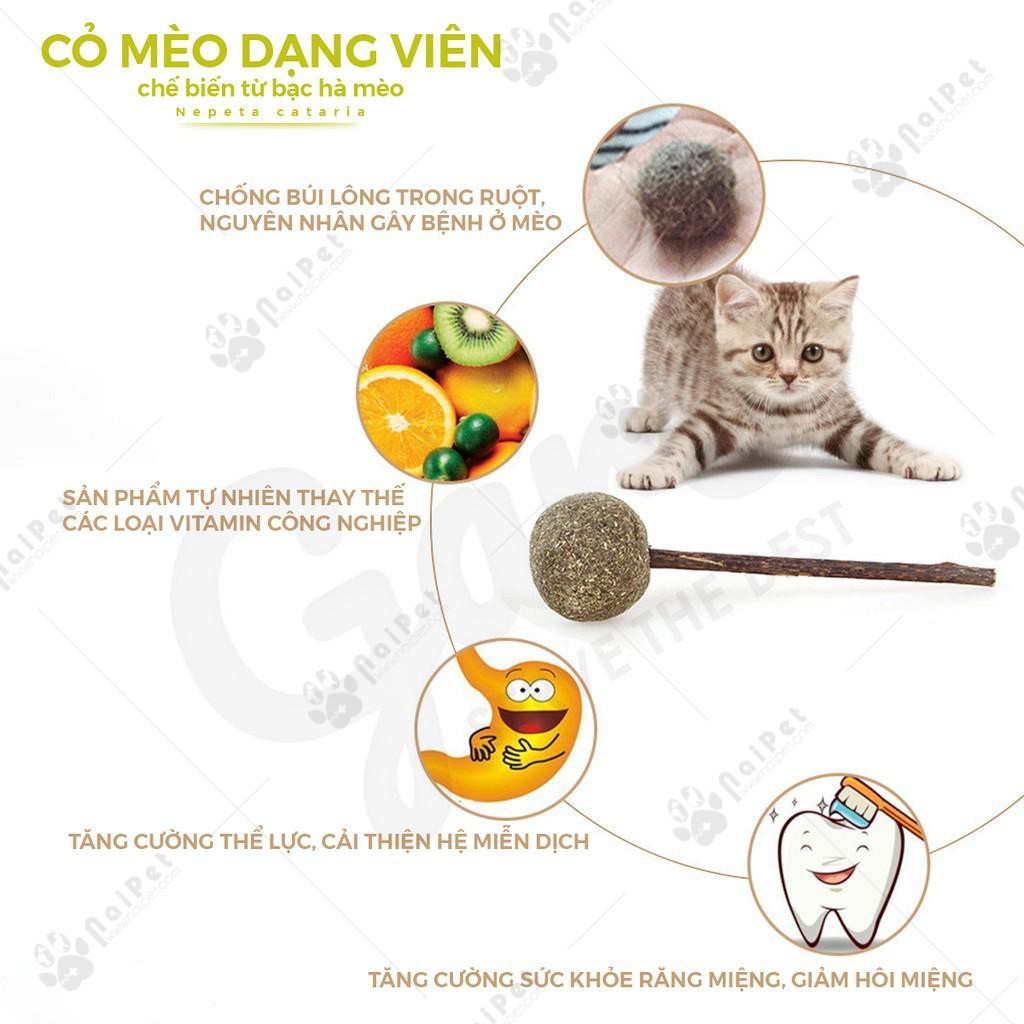 Cỏ Catnip Cỏ Bạc Hà Viên Nén Dạng Kẹo Mút Cho Mèo CCN007