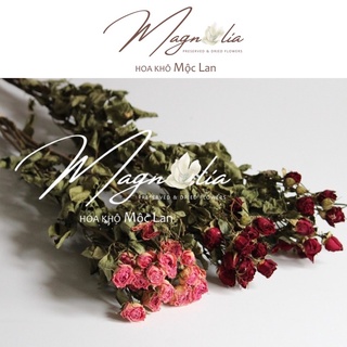 Hoa hồng khô 🍁FREESHIP🍁 Hoa khô Rosie Dried Flowers decor phòng ngủ, showroom, tiệc cưới