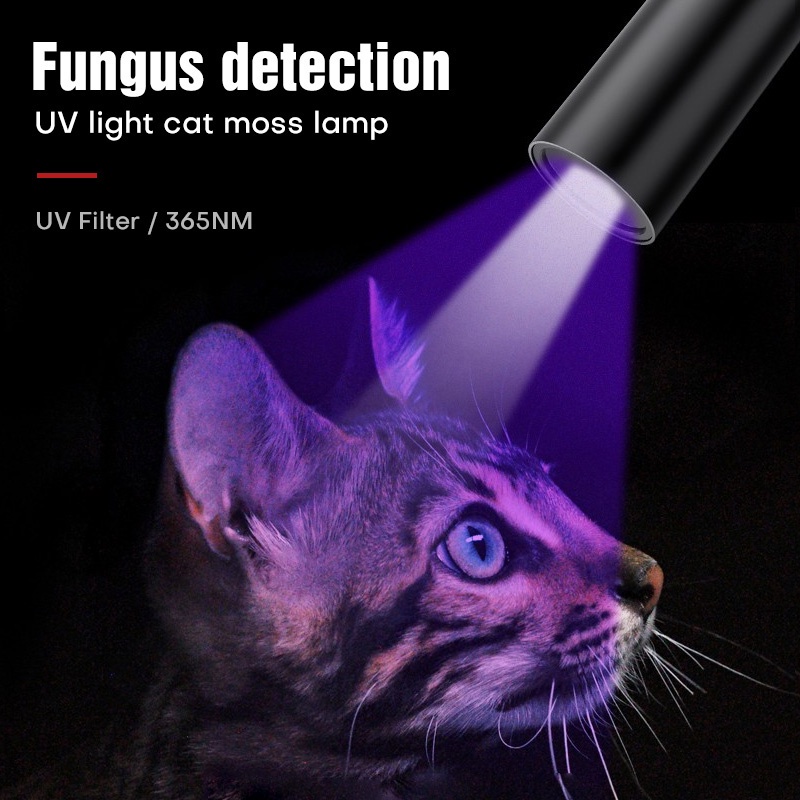 Đèn pin SUPERFIRE S11-H chiếu tia UV 365nm màu đen dành cho kiểm tra tiền giả đa năng