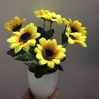 Chậu hoa Hướng dương 07 bông