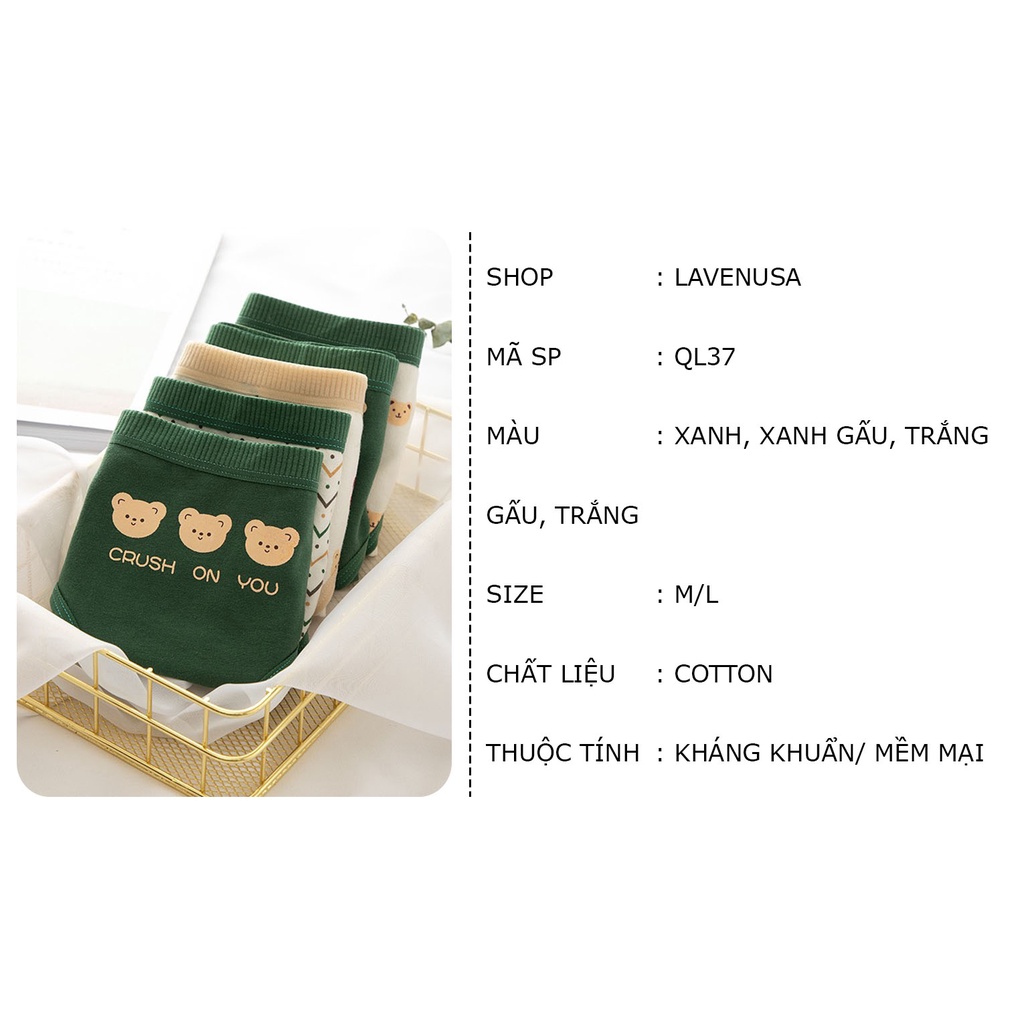 Quần lót nữ kháng khuẩn mềm mại Cotton hình gấu dễ thương LAVENUSA QL37