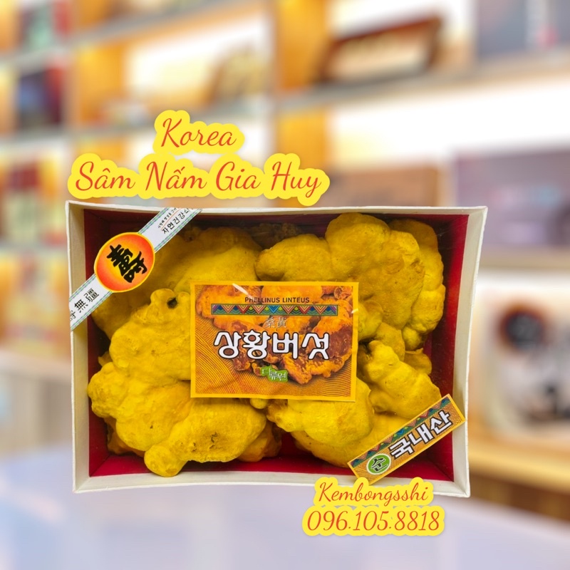 [HÀNG MỚI VỀ] Nấm Thượng Hoàng Hàn Quốc 500gr [HỘP QUÀ BIẾU SANG TRỌNG]