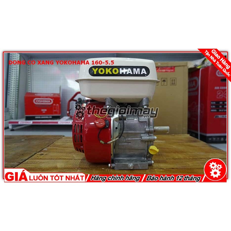 Máy Nổ Động Cơ Xăng Yokohama 5.5hp