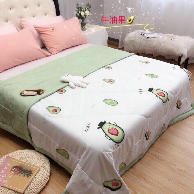 Chăn hè thu cotton đũi siêu mềm mịn, thoáng mát kích thước 2m*2m2