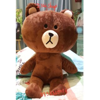 Gấu bông hình gấu Brown size 22cm- 30cm