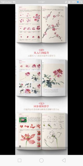 (Hàng sẵn) Tập tranh dạy vẽ Hoa, lá, động vật Cổ Phong
