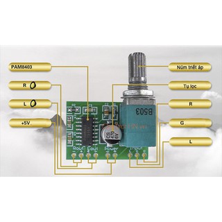 030 Module Khuếch Đại Âm Thanh PAM8403 có volume
