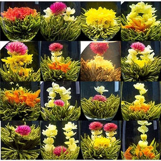 HỘP TRÀ NỞ HOA NGHỆ THUẬT FAIRY TEA  BEAUTIFUL BLOOMING  FLOWER TEA 16 TEA BALLS