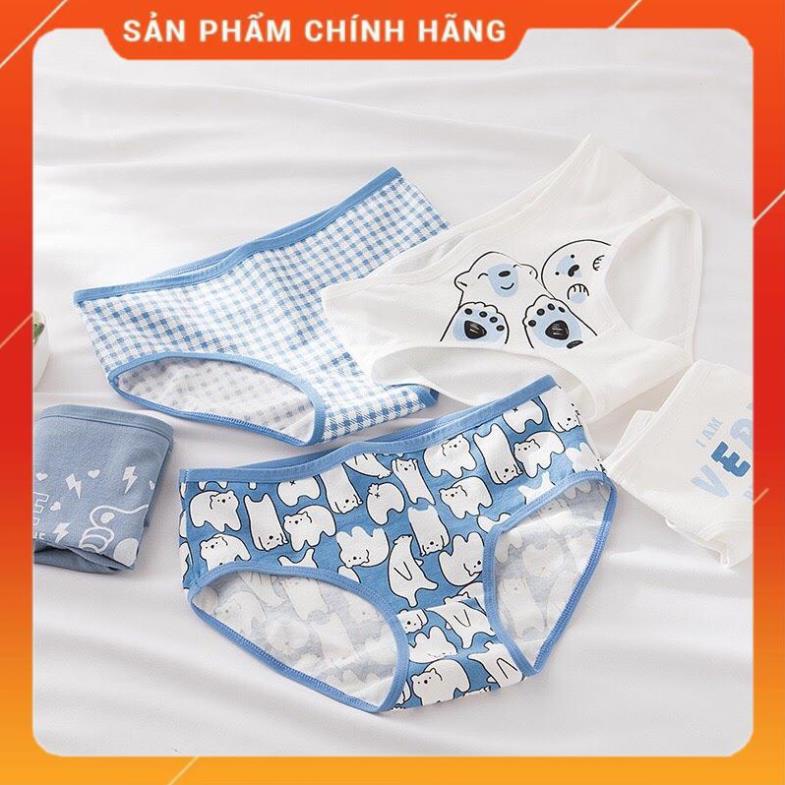Quần Lót Nữ Dễ Thương Quần Lót Nữ Gấu Xanh Kháng Khuẩn 227