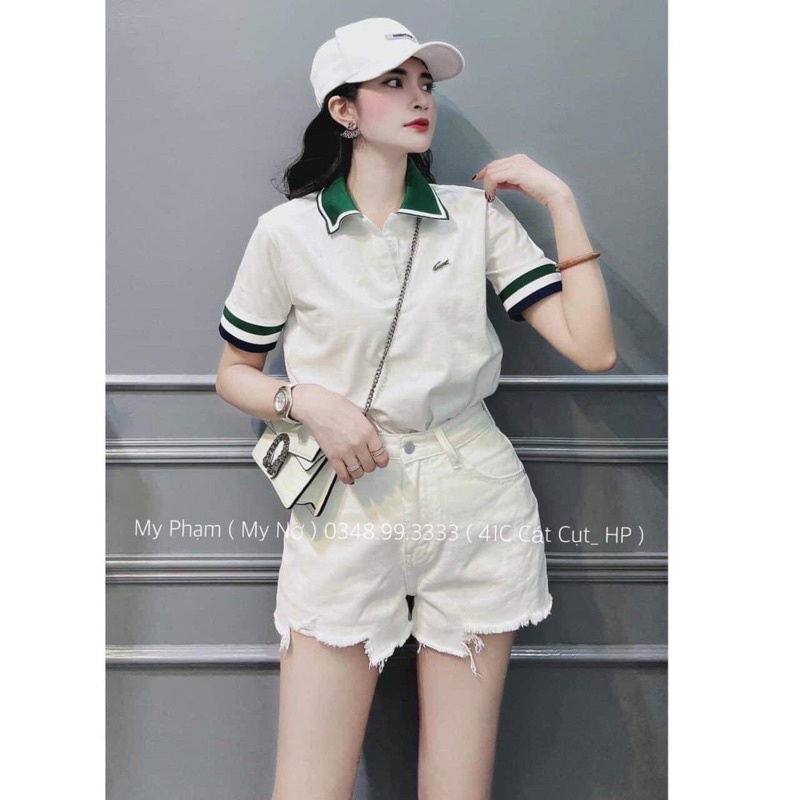Áo polo cá sấu cổ xanh lá TC6