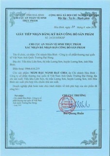 MẦM ĐẬU NÀNH HẠT CHIA