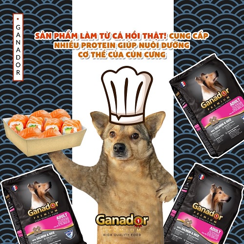 THỨC ĂN CHO CHÓ GANADOR 3KG