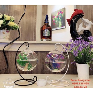 Combo 22 bể cá phong thủy mini - tặng kèm phụ kiện trang trí