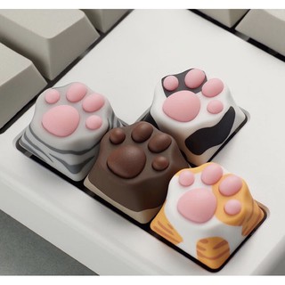 Keycap chân mèo zomo full box mẫu mới siêu cưng