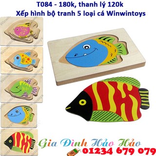 T084 - Xếp hình bộ tranh 5 loại cá Winwintoys